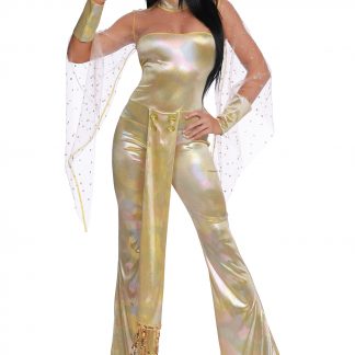 SO Dreamgirl 70's Icon (Women's) Costume 11555