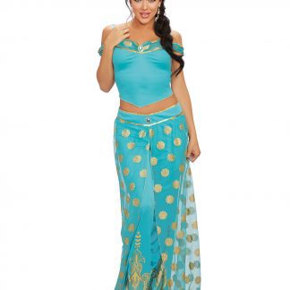 SO Dreamgirl Arabian Princess Costume 11576
