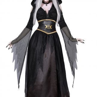 SO Dreamgirl Pagan Witch Costume 11582