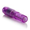 Berman Center Athena Mini Vibrator - Image 4