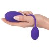 Pussy and Ass Orgasm Massage Balls - Image 3