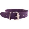 Rouge Garments Purple Studded O-Ring Studded Collar - Image 2