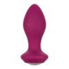 Power Gem Butt Plug Vibrating Crystal Probe